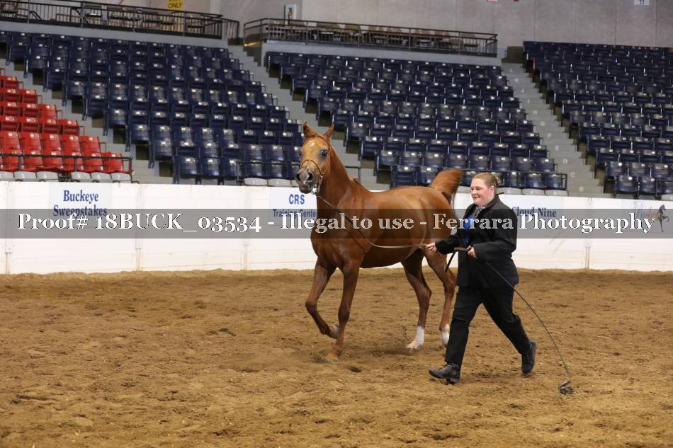 Proof 18BUCK_03534