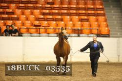18BUCK_03535 proof