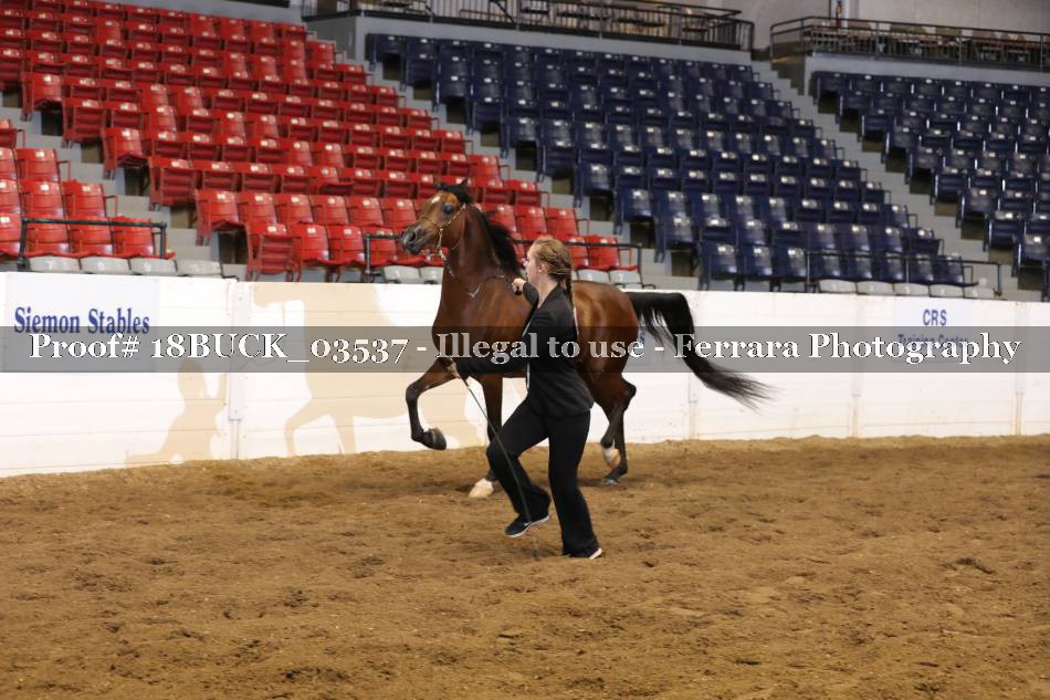 Proof 18BUCK_03537