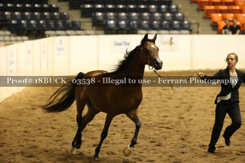 Proof 18BUCK_03538