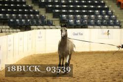 18BUCK_03539 proof