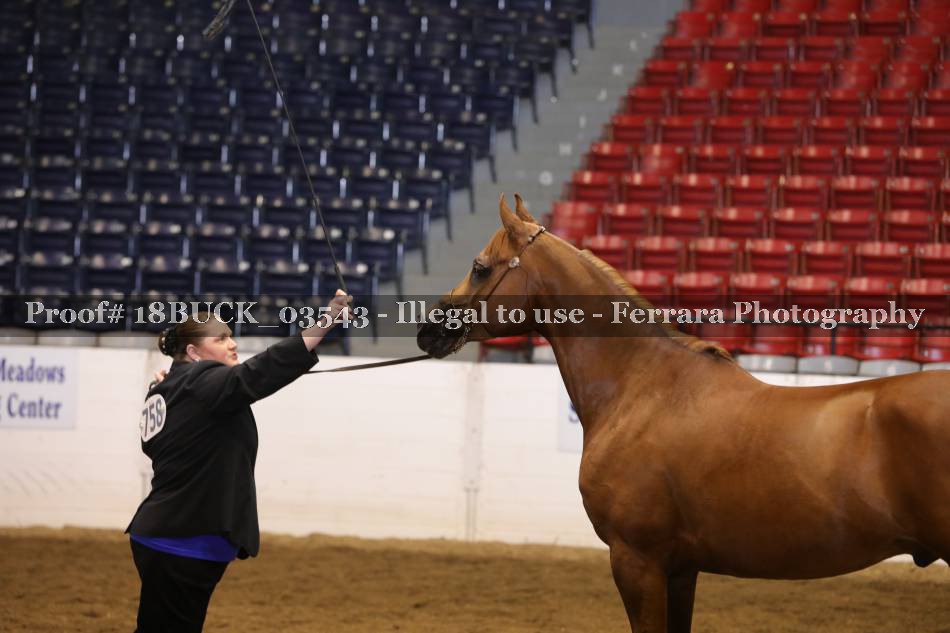 Proof 18BUCK_03543