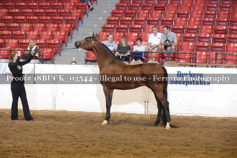 Proof 18BUCK_03544