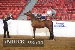 18BUCK_03544 proof
