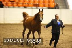 18BUCK_03545 proof