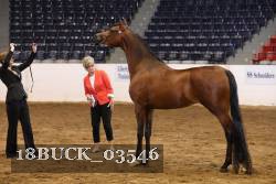 18BUCK_03546 proof