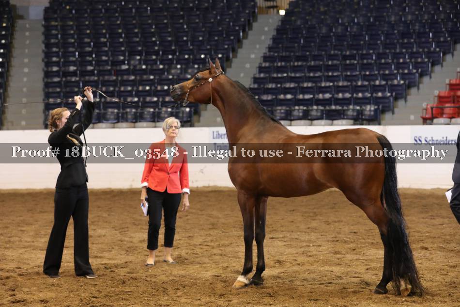 Proof 18BUCK_03548