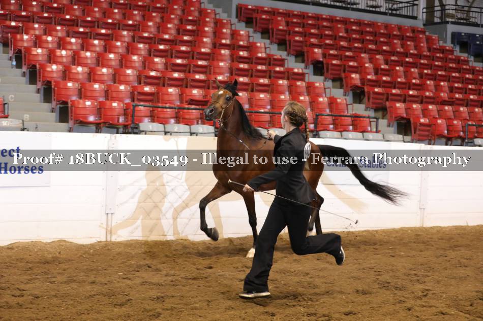 Proof 18BUCK_03549