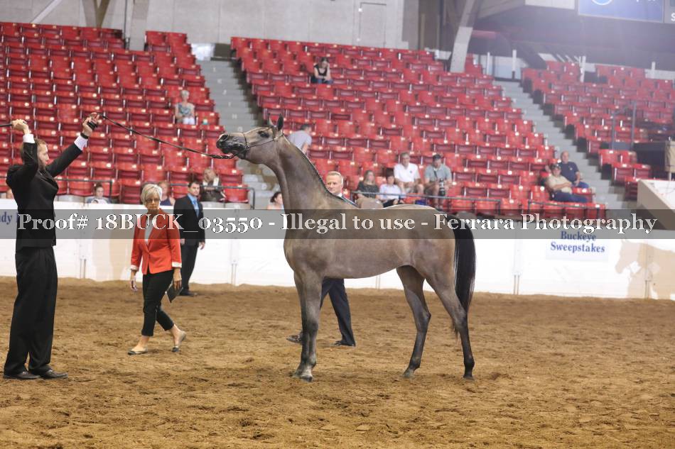 Proof 18BUCK_03550