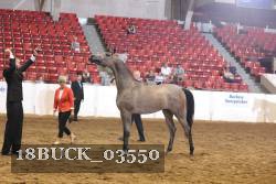 18BUCK_03550 proof