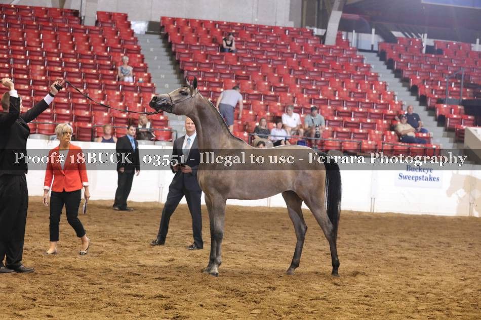 Proof 18BUCK_03551