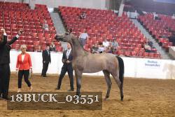18BUCK_03551 proof