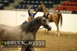 18BUCK_03555 proof