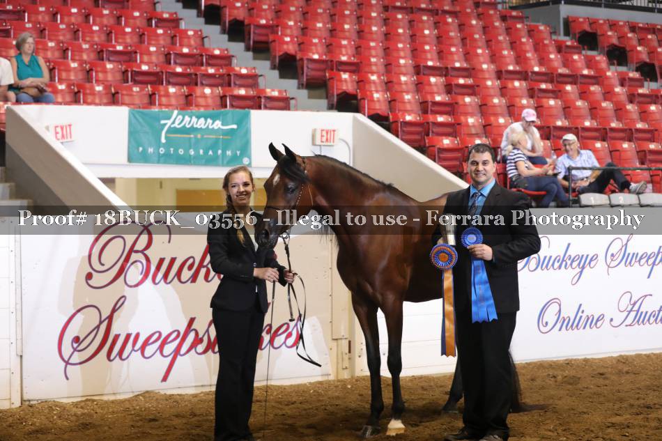 Proof 18BUCK_03556