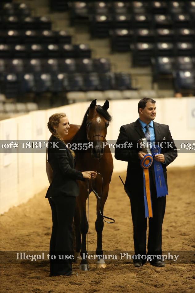 Proof 18BUCK_03558