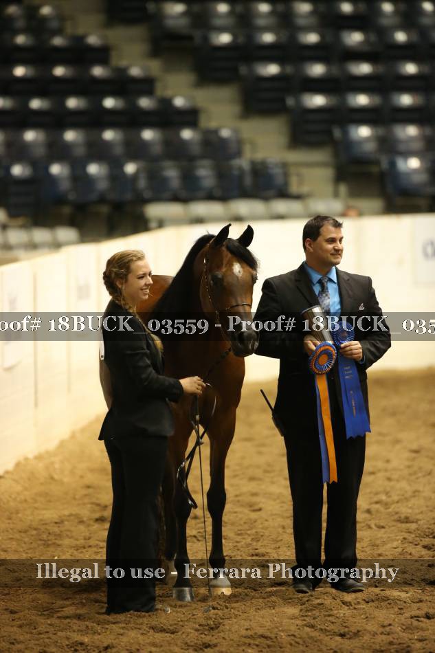 Proof 18BUCK_03559