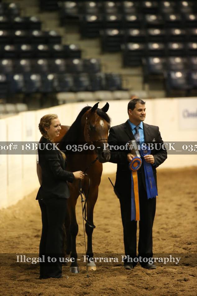Proof 18BUCK_03560