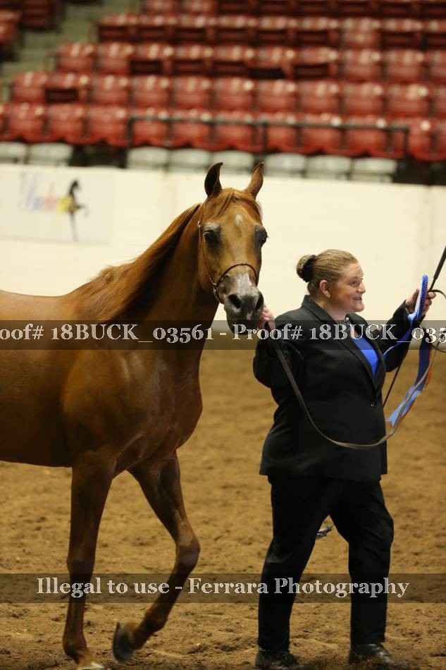 Proof 18BUCK_03561