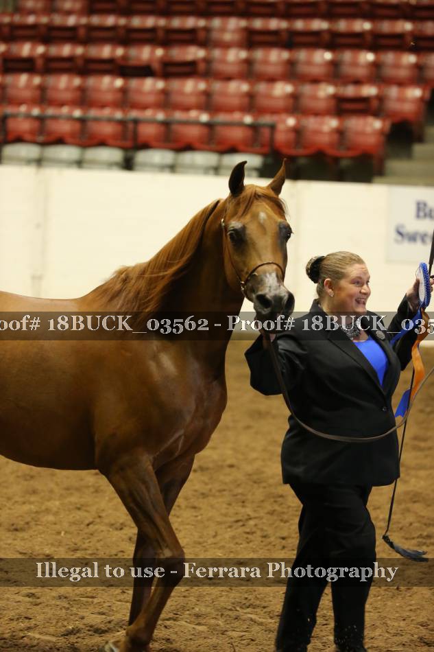 Proof 18BUCK_03562