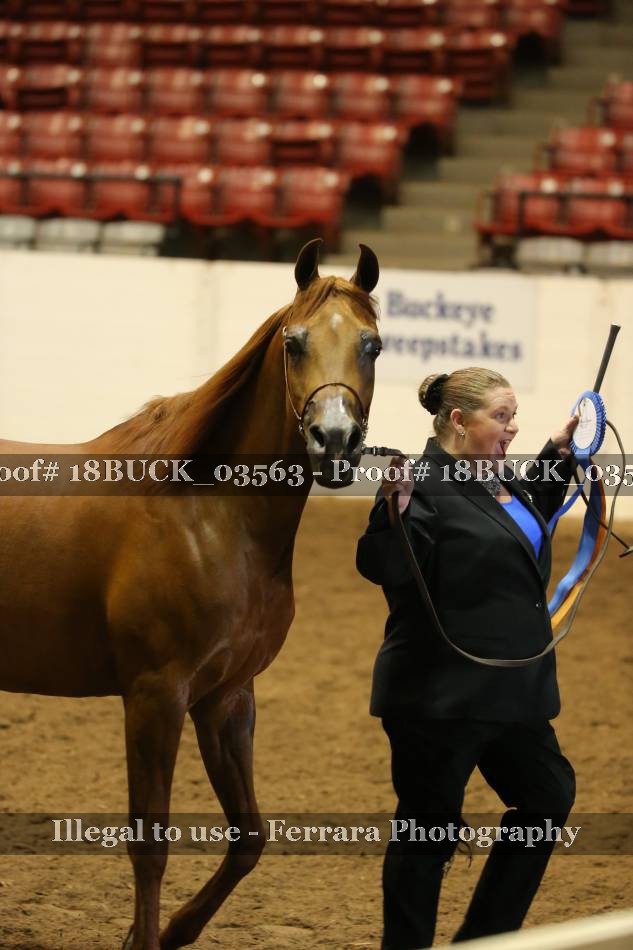 Proof 18BUCK_03563