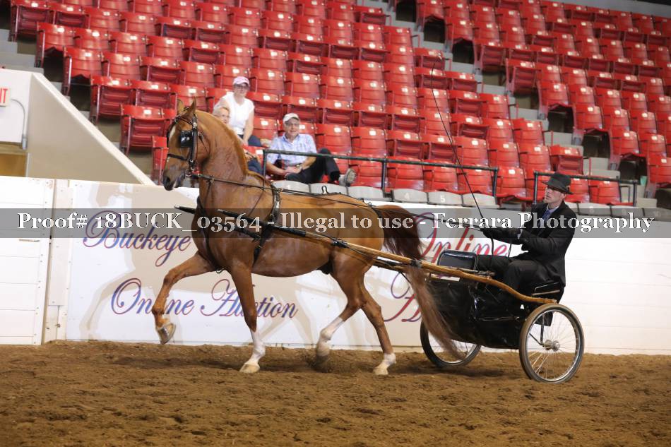 Proof 18BUCK_03564