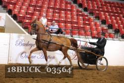 18BUCK_03564 proof