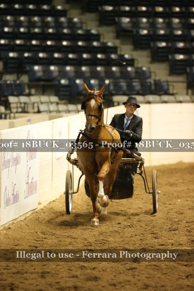 Proof 18BUCK_03565