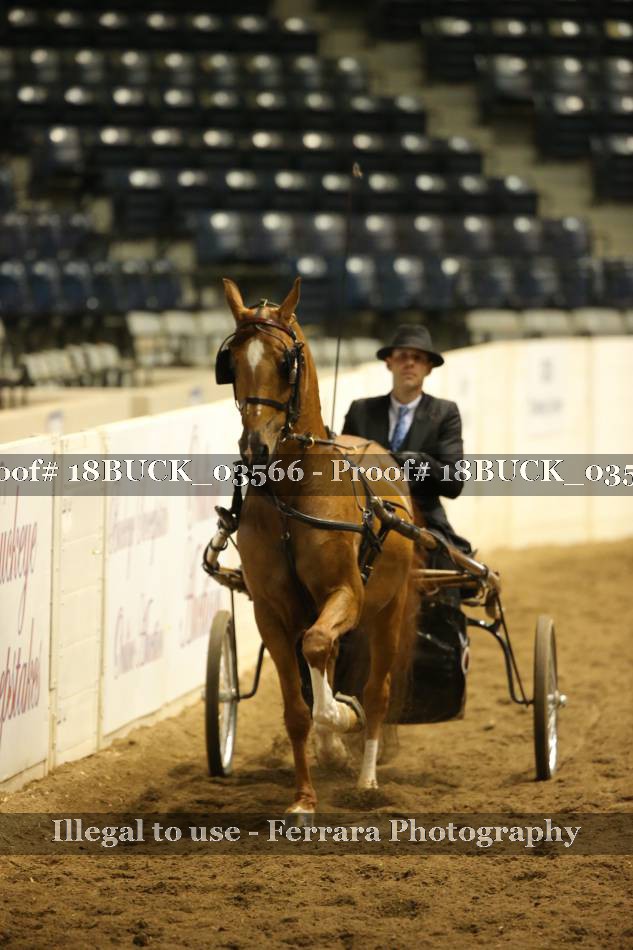 Proof 18BUCK_03566