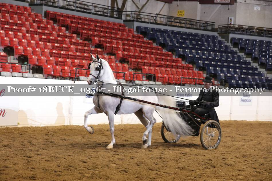 Proof 18BUCK_03567