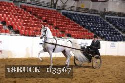 18BUCK_03567 proof