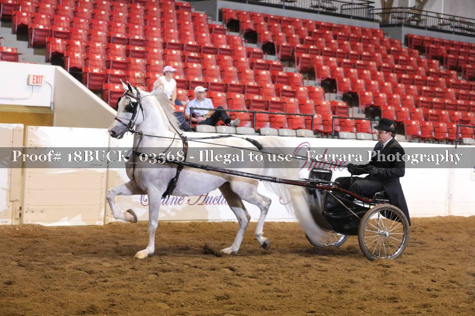 Proof 18BUCK_03568