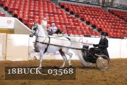 18BUCK_03568 proof