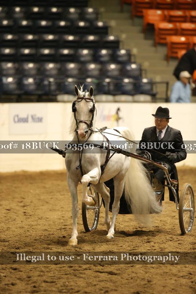 Proof 18BUCK_03569
