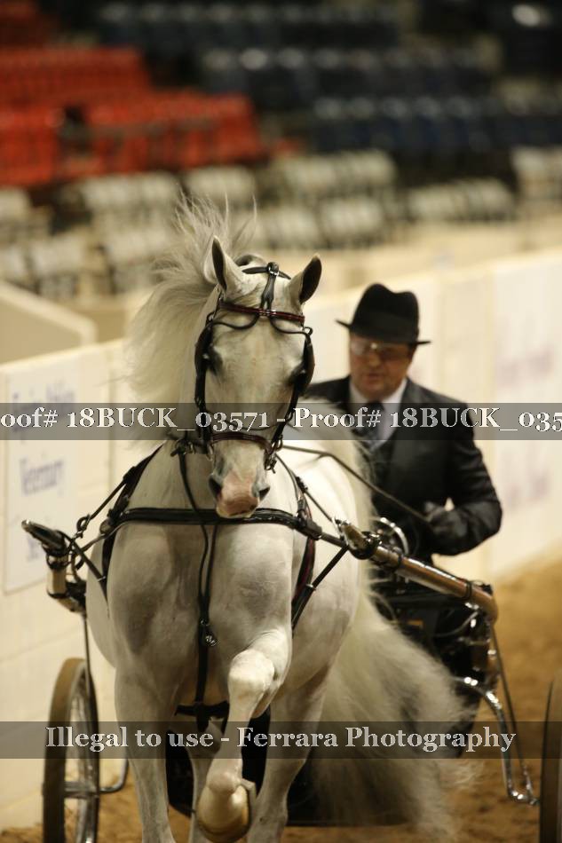 Proof 18BUCK_03571