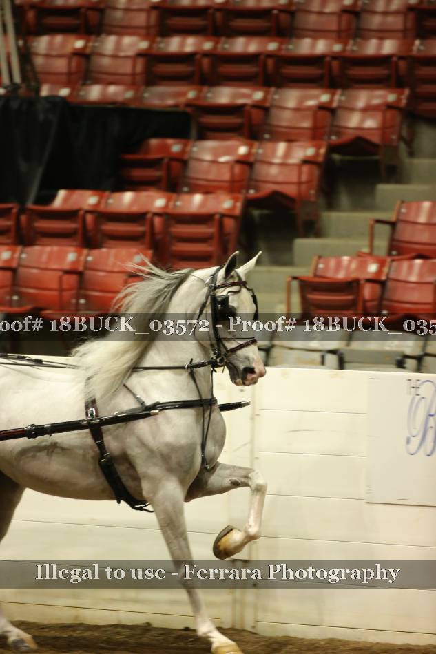 Proof 18BUCK_03572