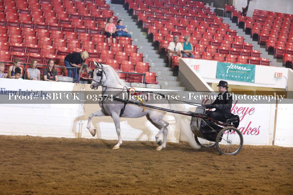 Proof 18BUCK_03574