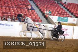 18BUCK_03574 proof