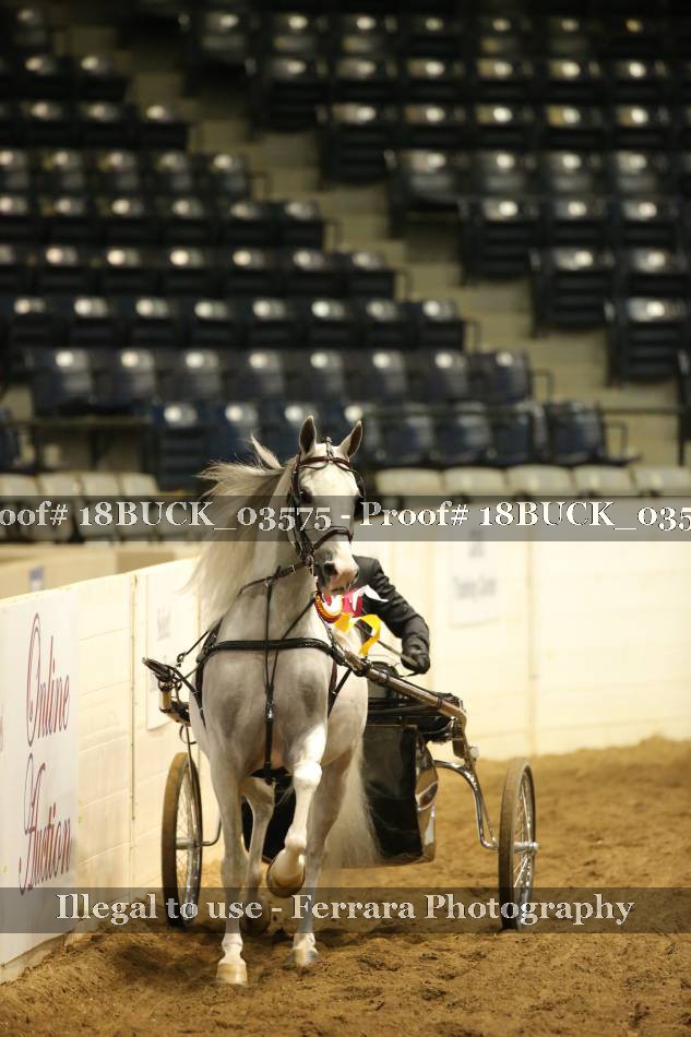 Proof 18BUCK_03575
