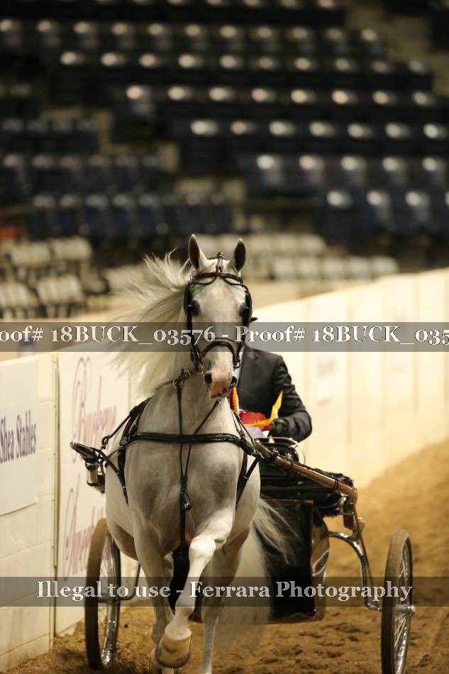 Proof 18BUCK_03576