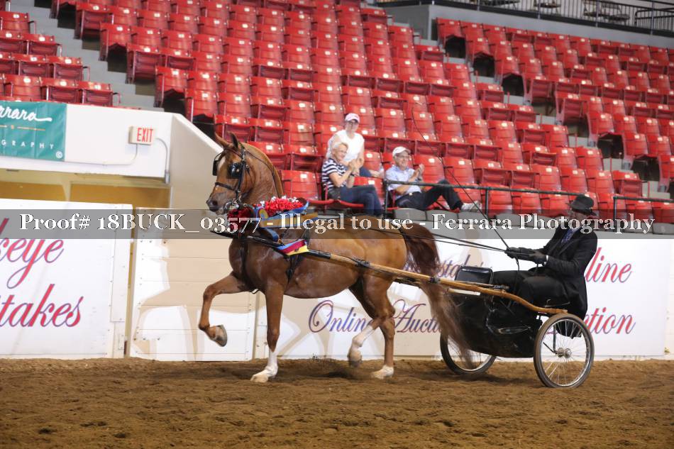 Proof 18BUCK_03577