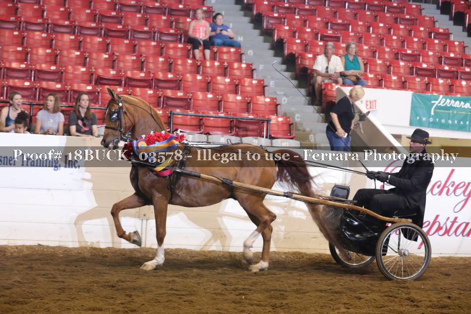 Proof 18BUCK_03578