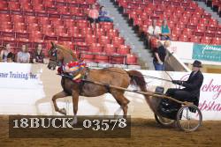 18BUCK_03578 proof