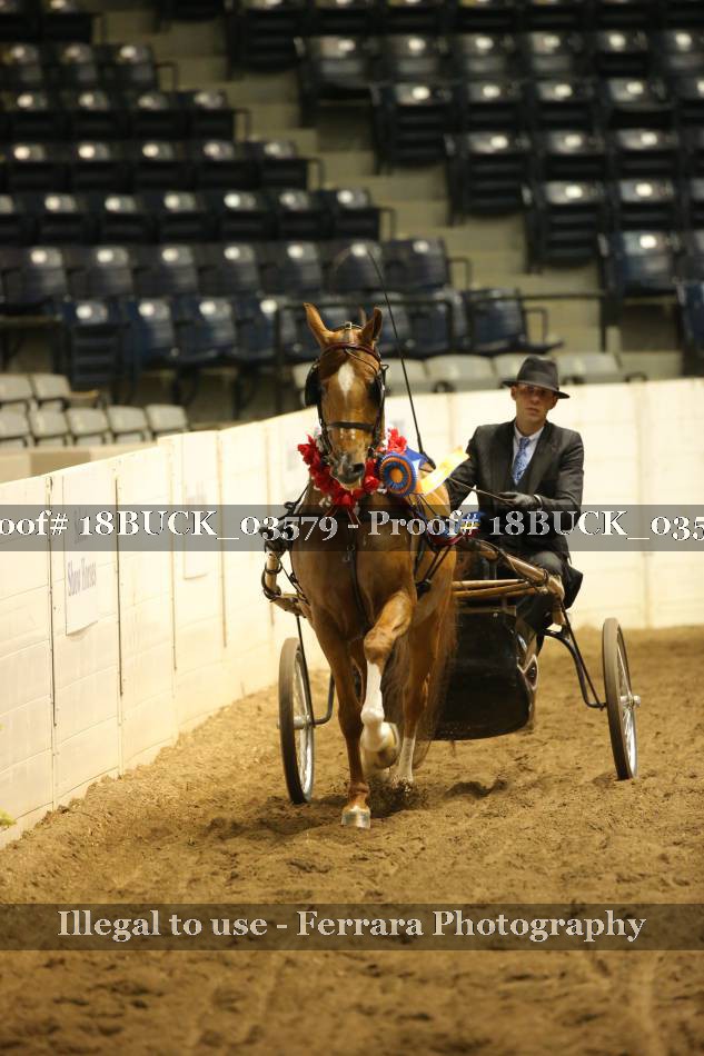 Proof 18BUCK_03579