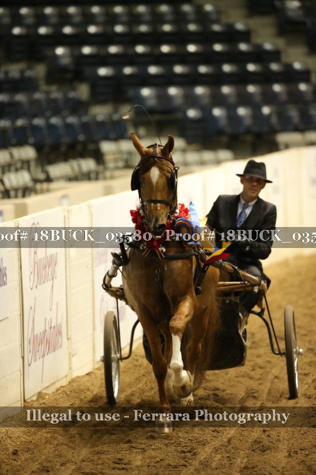 Proof 18BUCK_03580