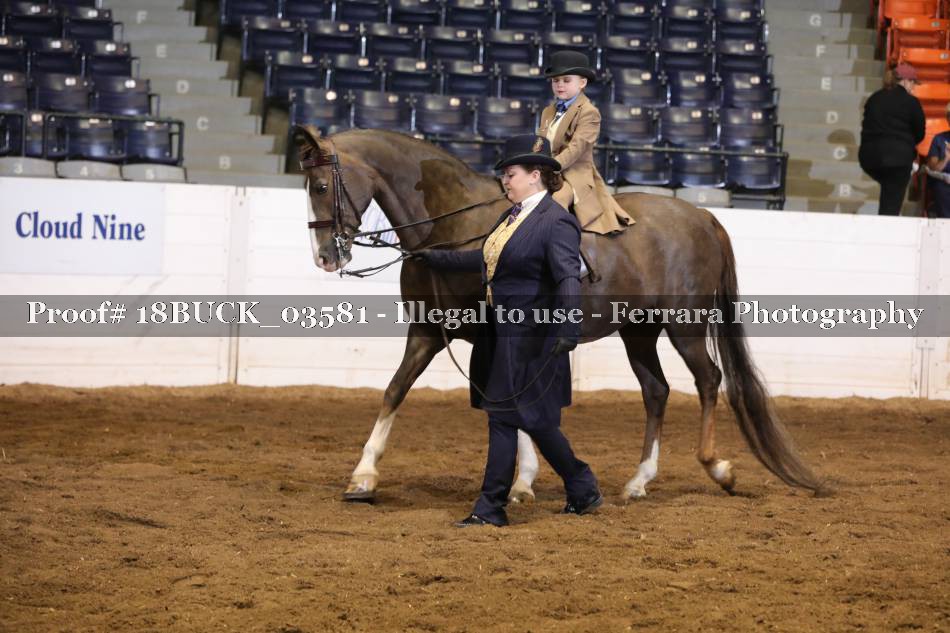 Proof 18BUCK_03581