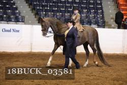 18BUCK_03581 proof