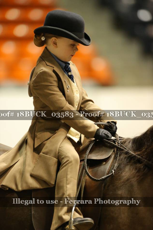 Proof 18BUCK_03583