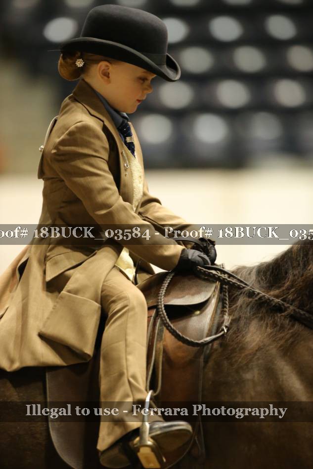 Proof 18BUCK_03584