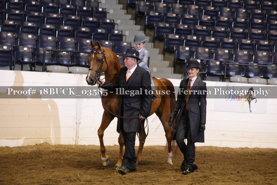 Proof 18BUCK_03585