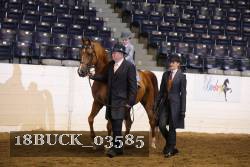 18BUCK_03585 proof